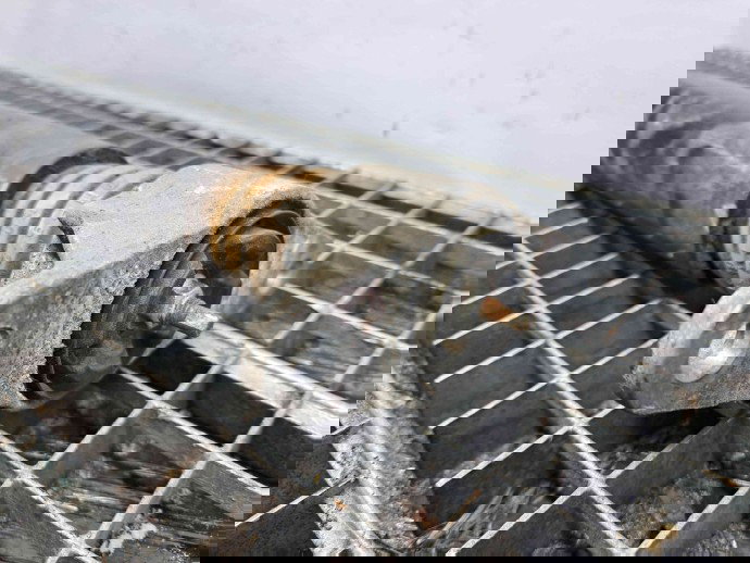 Amortizor dreapta spate MAZDA 6 (GJ1) [Fabr 2014-2021] GHP928700D 2.2 Skyactiv  