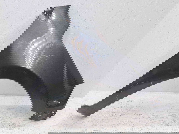 Aripa dreapta fata Toyota Rav 4 III (ACA3, ACE, ALA3, GSA3, ZSA3) [Fabr 2005-2013] 1G3