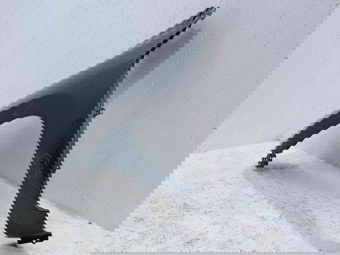 Aripa stanga fata Toyota Rav 4 III (ACA3, ACE, ALA3, GSA3, ZSA3) [Fabr 2005-2013] 1G3