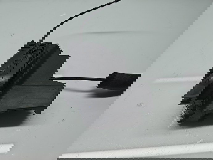 Broasca usa dreapta spate Renault Scenic 3 (J95) Facelift [Fabr 2009-2015] OEM