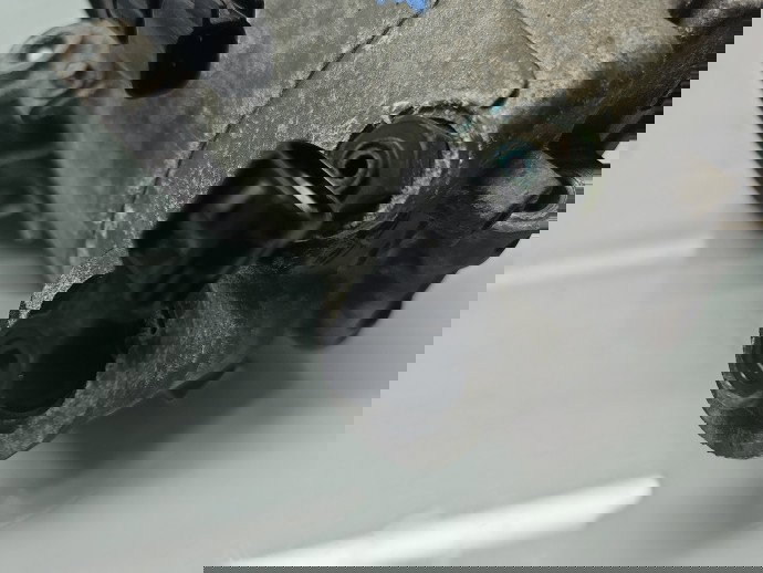 Compresor clima Ford Focus 3 Hatchback [Fabr 2011-2015] CV61-19D629-FB 1.0 Benz M1DA 92KW / 125CP