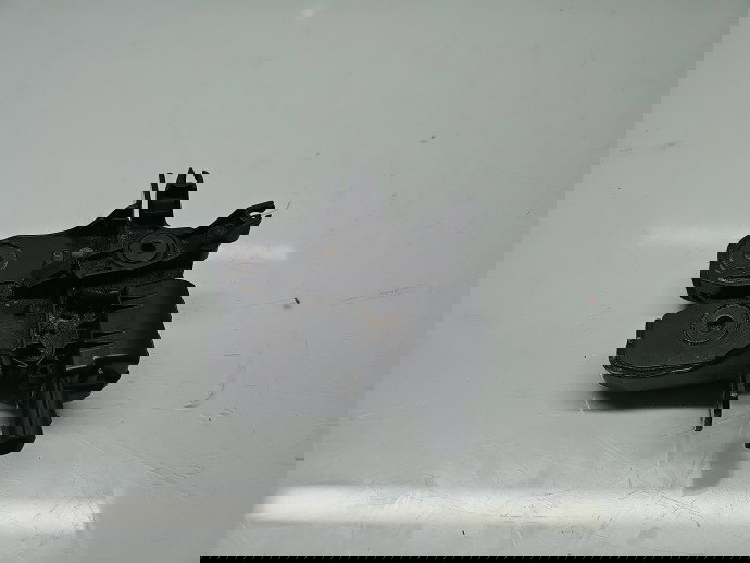 Broasca haion Dacia Duster [Fabr 2010-2017] 90503001CR