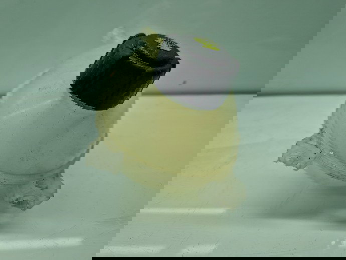 Vas expansiune Dacia Logan II MCV BK (K52) [Fabr 2013-2022] Facelift 217101878R