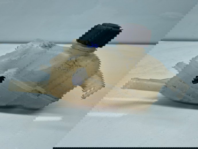 Vas expansiune Renault Megane 3 Hatchback (X95) [Fabr 2008-2015] 217100005P