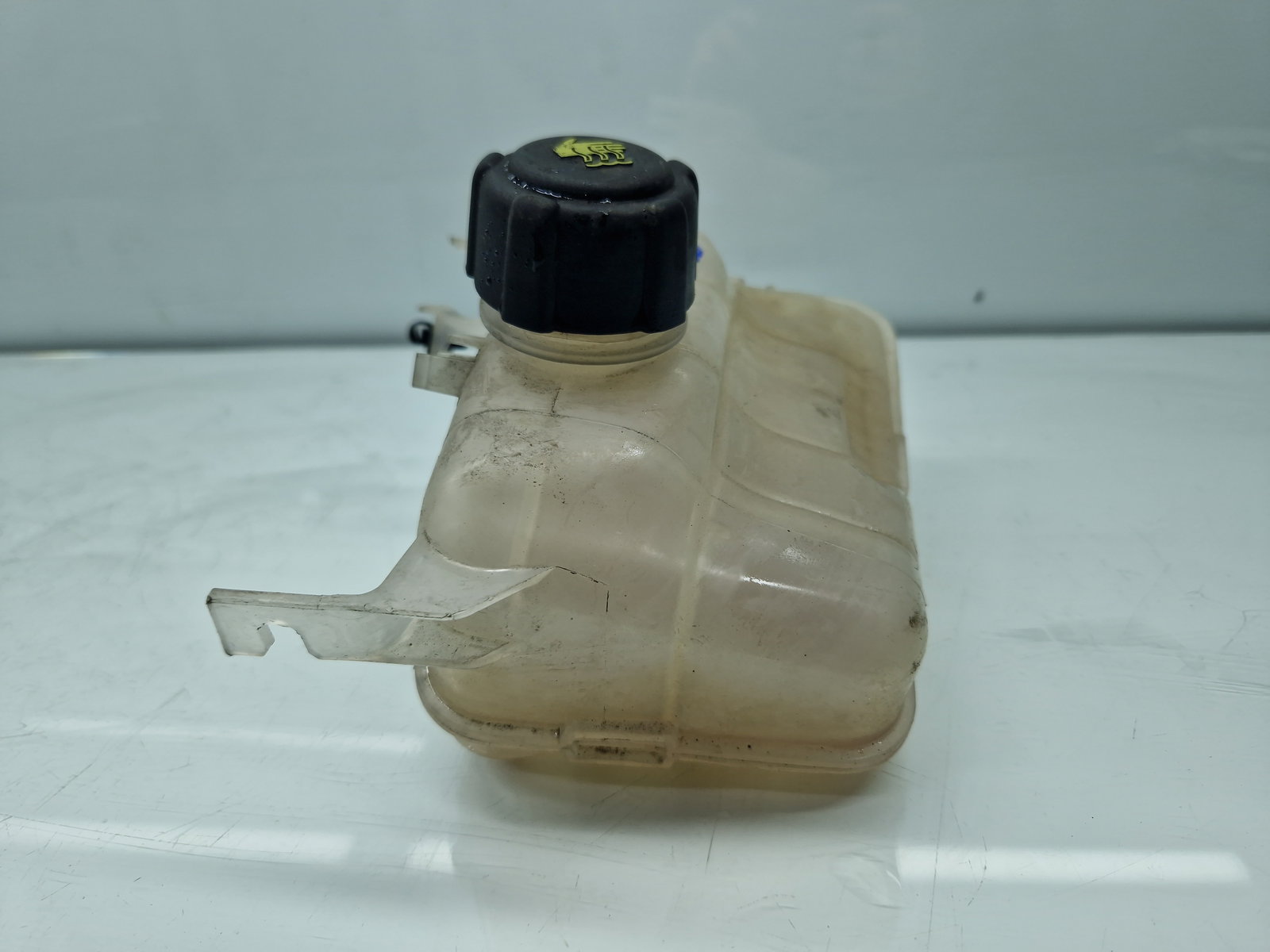 Vas expansiune Renault Megane 3 Hatchback (X95) [Fabr 2008-2015] 217100005P - imagine 2