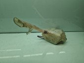  Vas lichid parbriz Renault Espace 4 [Fabr 2002-2014] 8200050361