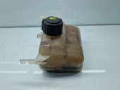 Vas expansiune Renault Scenic 3 (J95) Facelift [Fabr 2009-2015] 217100005R