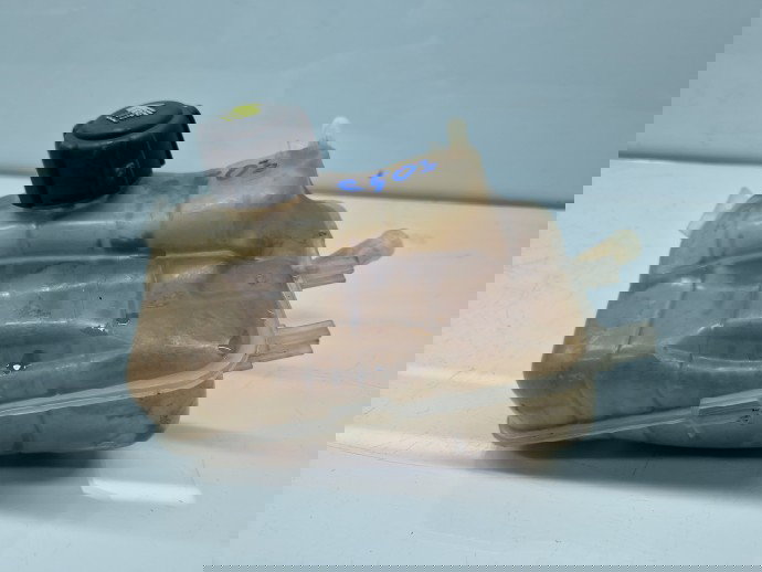 Vas expansiune Renault Scenic 3 (J95) Facelift [Fabr 2009-2015] 217100005R