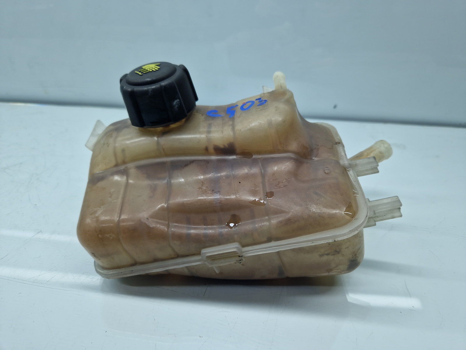 Vas expansiune Renault Scenic 3 (J95) Facelift [Fabr 2009-2015] 217100005R - imagine 3