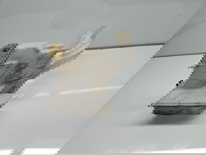  Vas lichid parbriz Volkswagen Passat B7 (365) Variant [Fabr 2010-2014] 3AA955453G