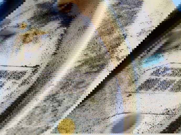 Pompa combustibil AUDI A5 (8T3) [Fabr 2007-2015] 8K0919050P 2.0 TDI CGLC 130KW / 177CP