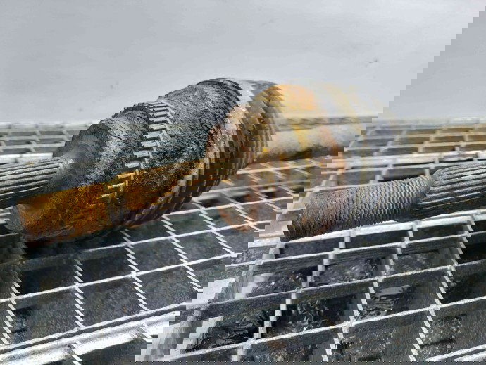 Planetara dreapta fata Toyota Rav 4 II (CLA2, XA2, ZCA2, ACA2) [Fabr 2000-2006] OEM 2.0   