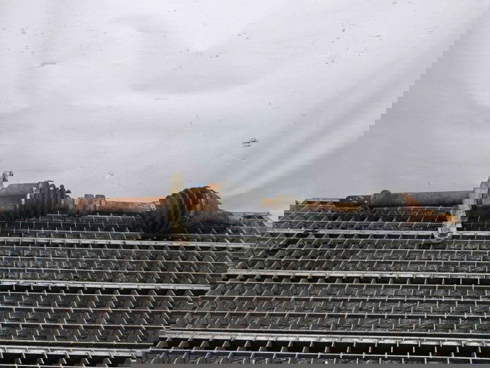 Planetara dreapta fata Nissan Juke [Fabr 2010-2014] Hatchback OEM 1.5 DCI K9K-410   