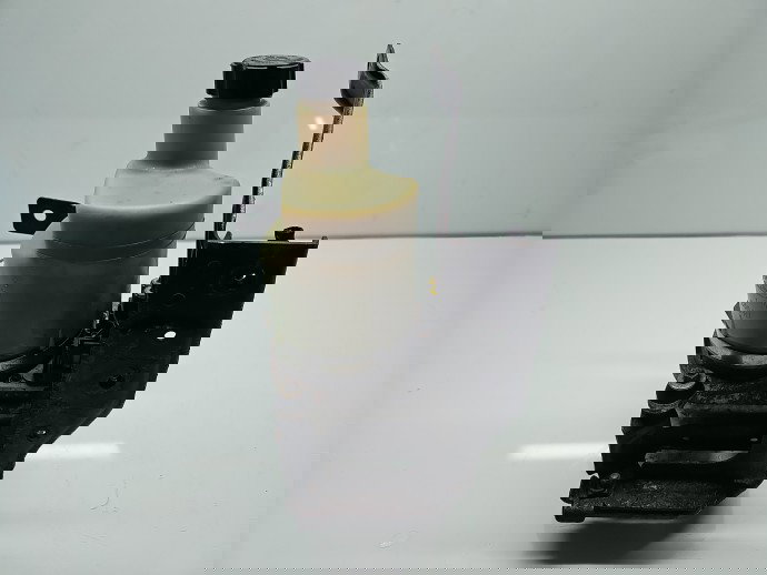 Pompa servodirectie Volvo C30 Coupe Rdesign [Fabr 2006-2013] 31202089AF 2.0 D5204T5 110KW / 150CP