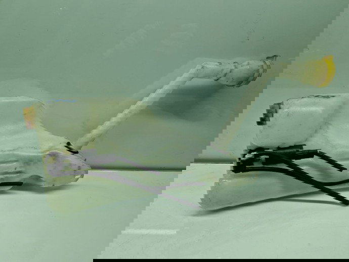  Vas lichid parbriz  Renault Megane 3 [Fabr 2008-2015] 289100014R