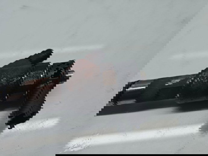 Injector Hyundai ix20 (JC) [Fabr 2010-2018] 33800-2A600 1.4 CRDi D4FC 66KW / 90CP