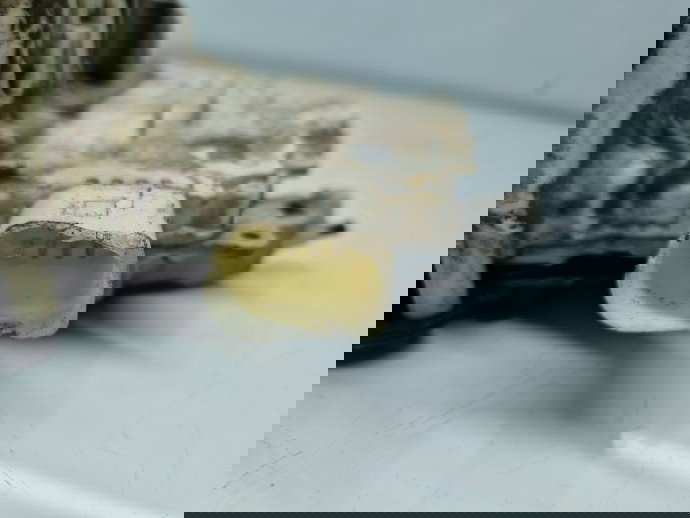 Broasca usa stanga spate AUDI A4 (8K5, B8) Avant [Fabr 2008-2015] 8K0839016