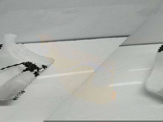  Vas lichid parbriz  Renault Scenic 3 [Fabr 2009-2015] 289100014R