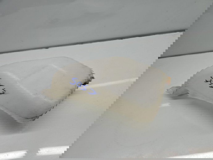  Vas lichid parbriz  Renault Scenic 3 [Fabr 2009-2015] 289100014R