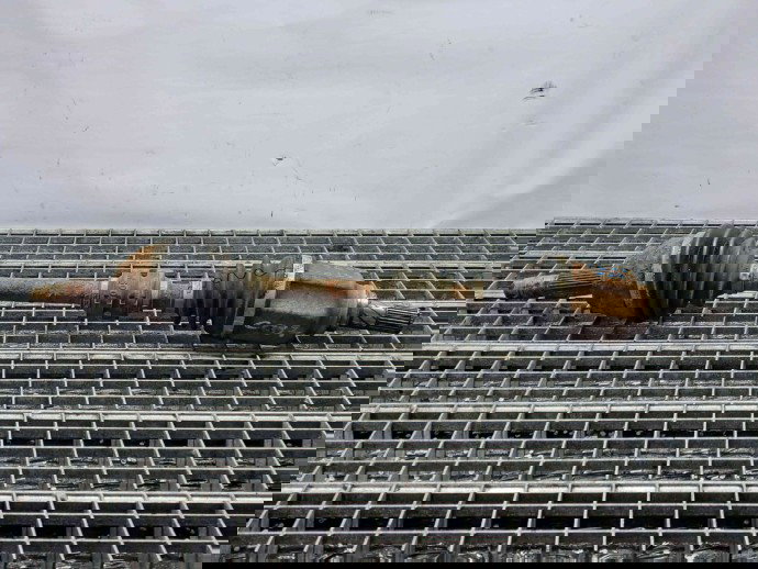 Planetara stanga fata MAZDA 6 (GJ1) [Fabr 2014-2021] OEM 2.2 Skyactiv 129KW / 175CP 2.2 Skyactiv 129KW / 175CP