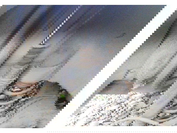 Amortizor dreapta spate Peugeot 307 1.6 benz OEM 2000-2008