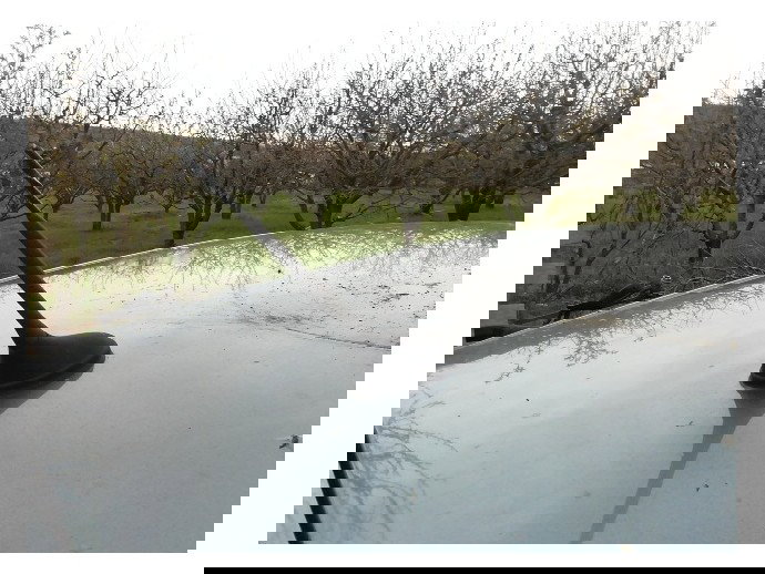 Antena radio Peugeot 307 1.6 benz OEM 2000-2008