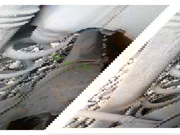 Arc dreapta spate Peugeot 307 1.6 benz OEM 2000-2008