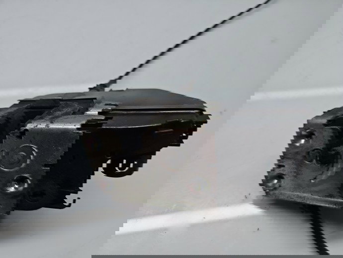 Broasca usa dreapta fata Renault Espace 4 [Fabr 2002-2014] OEM