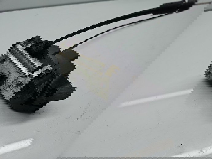 Broasca usa stanga fata Renault Espace 4 [Fabr 2002-2014] OEM