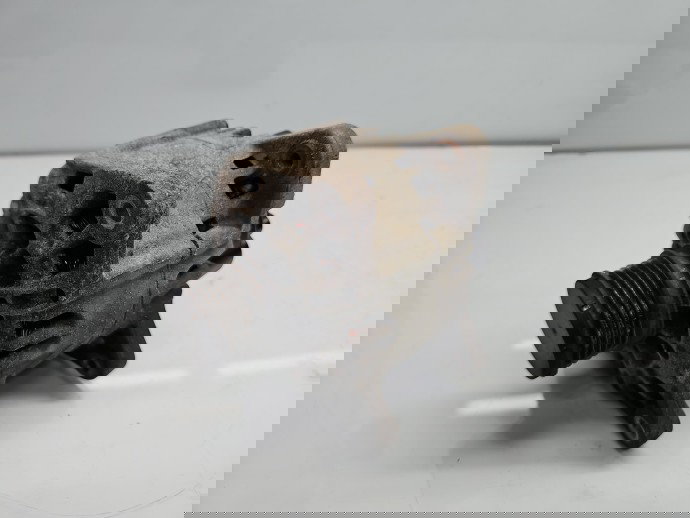 Alternator Dacia Duster [Fabr 2010-2017] 231007707R 1.5 DCI K9K646 81KW / 110CP