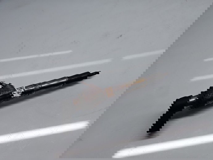 Injector Dacia Duster [Fabr 2010-2017] 166008052R 1.5 DCI K9K646 81KW / 110CP