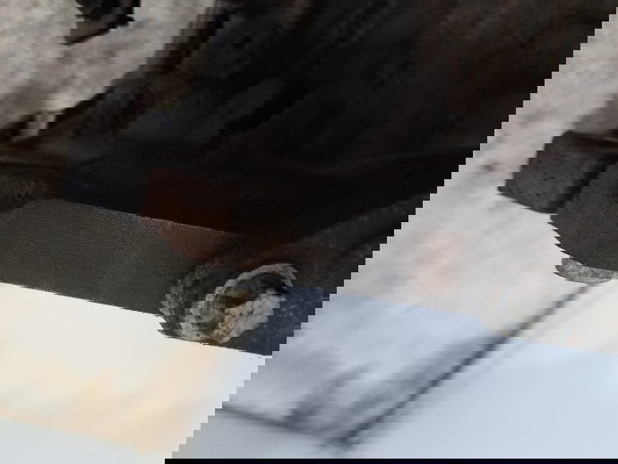 Motor complet ambielat Opel Corsa D [Fabr 2006-2013] Z12XEP 1.2 Benz Z12XEP 59KW / 80CP