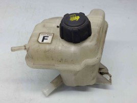 Vas expansiune Nissan Qashqai Facelift (2) [Fabr 2009-2013] 21711-JD50B