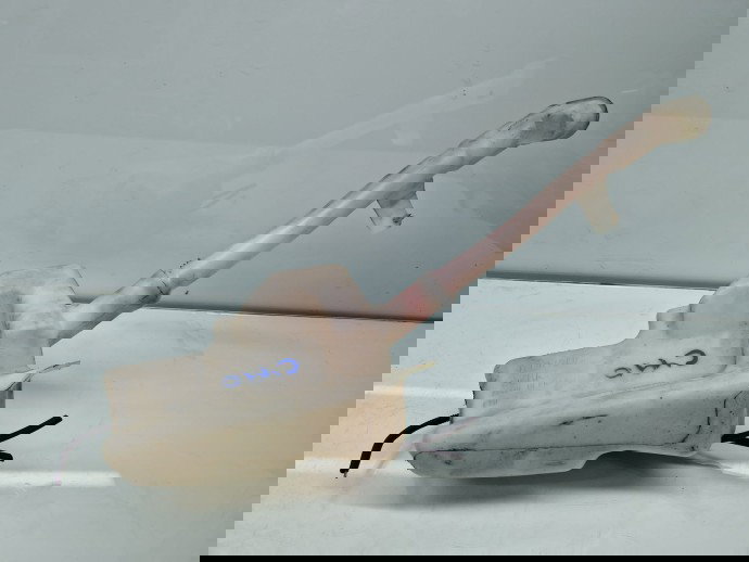  Vas lichid parbriz  Renault Laguna 2 [Fabr 2001-2007] 8200050361