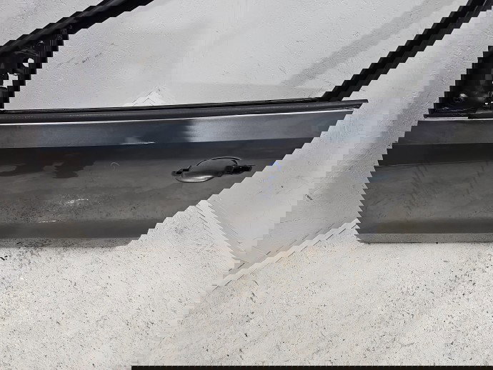 Usa stanga fata Volkswagen Polo (6R) [Fabr 2009-2016] LD7R