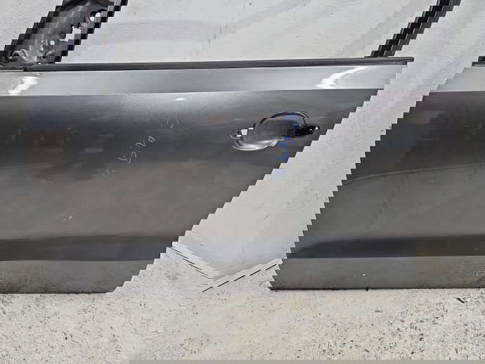 Usa stanga fata Volkswagen Polo (6R) [Fabr 2009-2016] LD7R