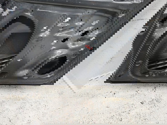 Usa stanga fata Volkswagen Polo (6R) [Fabr 2009-2016] LD7R