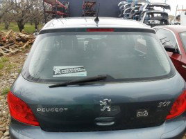 Haion Peugeot 307 1.6 benz OEM 2000-2008