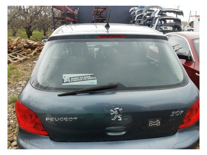 Haion Peugeot 307 1.6 benz OEM 2000-2008