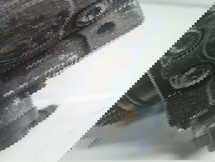 Pompa inalta presiune Renault Espace 4 [Fabr 2002-2014] H8200690744 2.0 dCi M9R780 110KW / 150CP