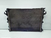 Radiator apa Renault Espace 4 [Fabr 2002-2014] OEM 2.0 dCi M9R780 110KW / 150CP