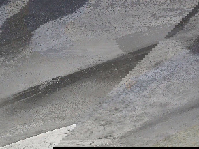 Usa stanga spate PEUGEOT 4007 [Fabr 2007-2012] KTZ