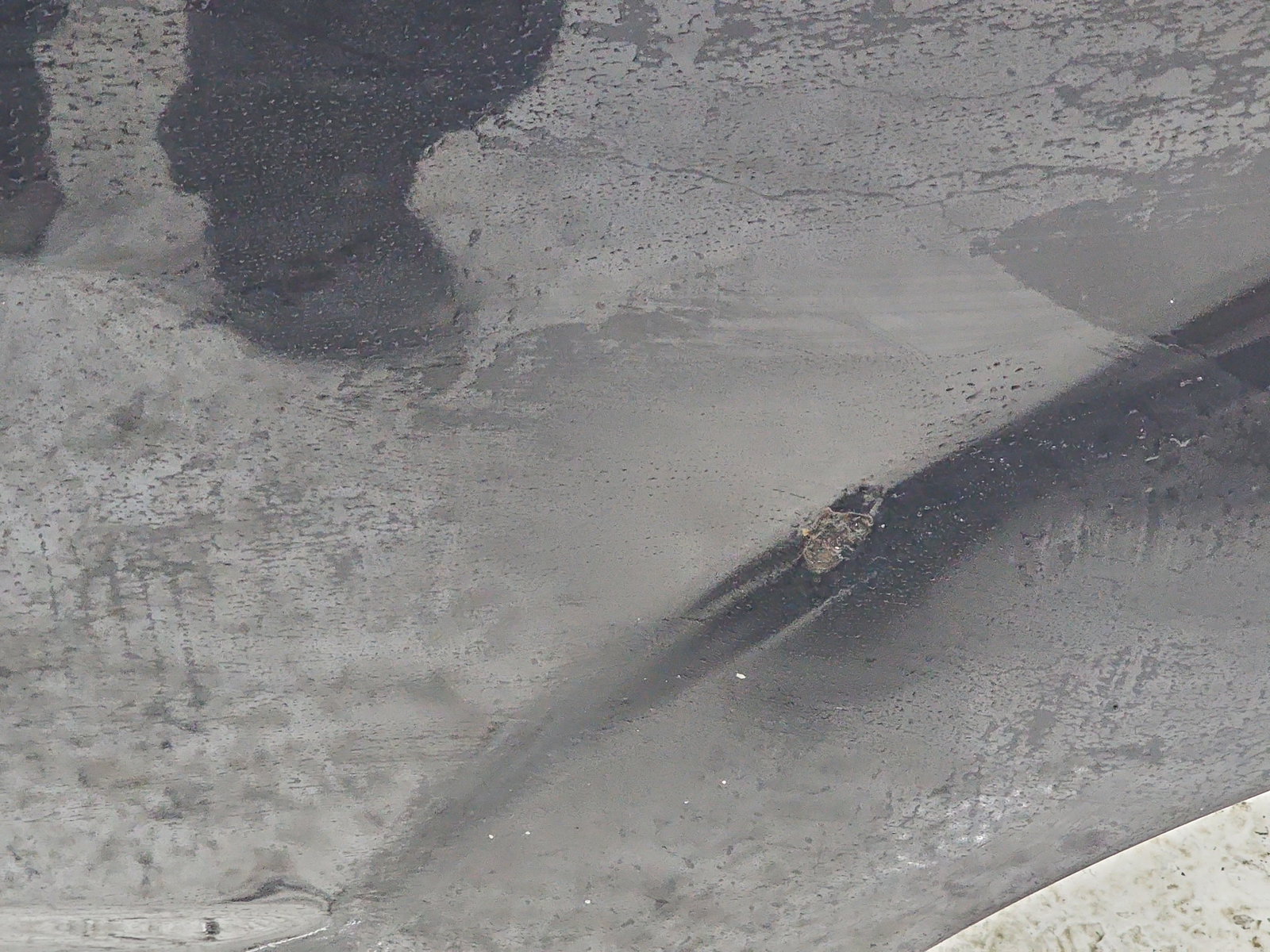 Usa stanga spate PEUGEOT 4007 [Fabr 2007-2012] KTZ - imagine 7