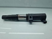 Bobina inductie  Dacia Duster [Fabr 2010-2016] 8200765882 1.6 Benz K4M848 81KW / 110CP