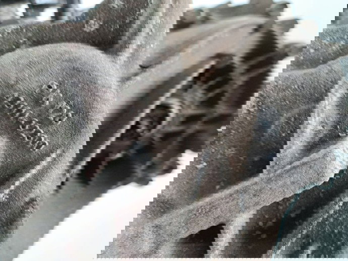 Cutie viteze manuala 6 trepte  Hyundai i30 (GD) [Fabr 2012-2017] 1.4 CRDi D4FC M56CF 3-1  43111-32300 66KW / 90CP