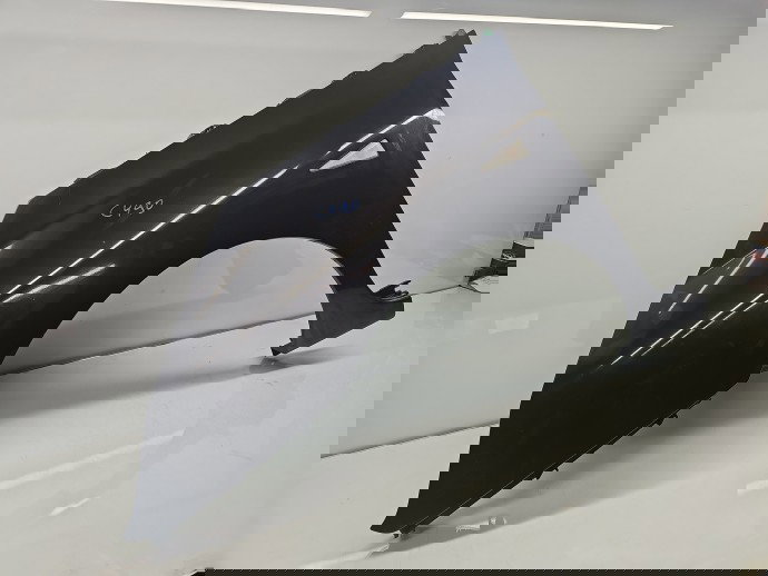 Aripa stanga fata Renault Espace 4 [Fabr 2002-2014] Gri Inchis