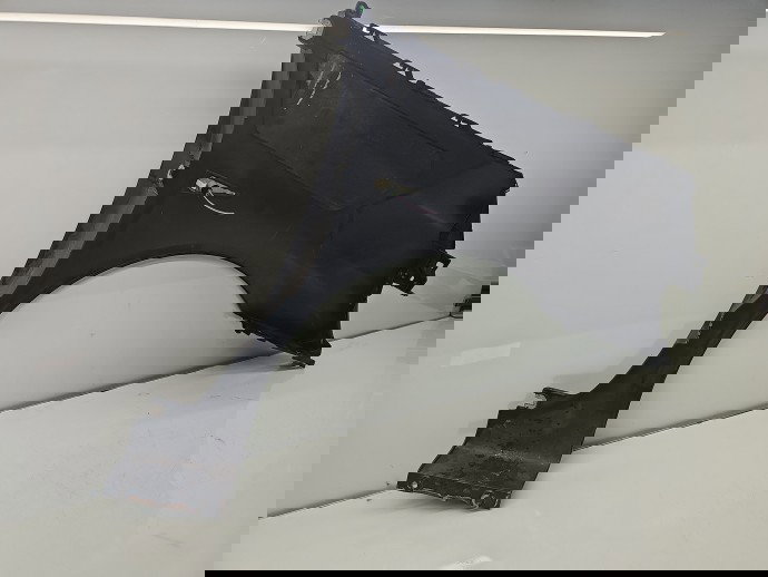 Aripa stanga fata Renault Espace 4 [Fabr 2002-2014] Gri Inchis