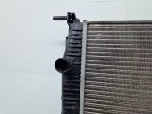 Radiator apa Renault Megane 3 Hatchback (X95) [Fabr 2008-2015] 214100014R 1.6 Benz K4M848 81KW / 110CP