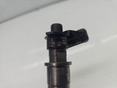 Injector  Renault Laguna 3 [Fabr 2007-2015] H82828929 2.0 dCi M9R780 110KW / 150CP