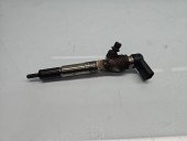Injector  Renault Megane 3 [Fabr 2008-2015] 166008052R 1.5 DCI K9K646 81KW / 110CP